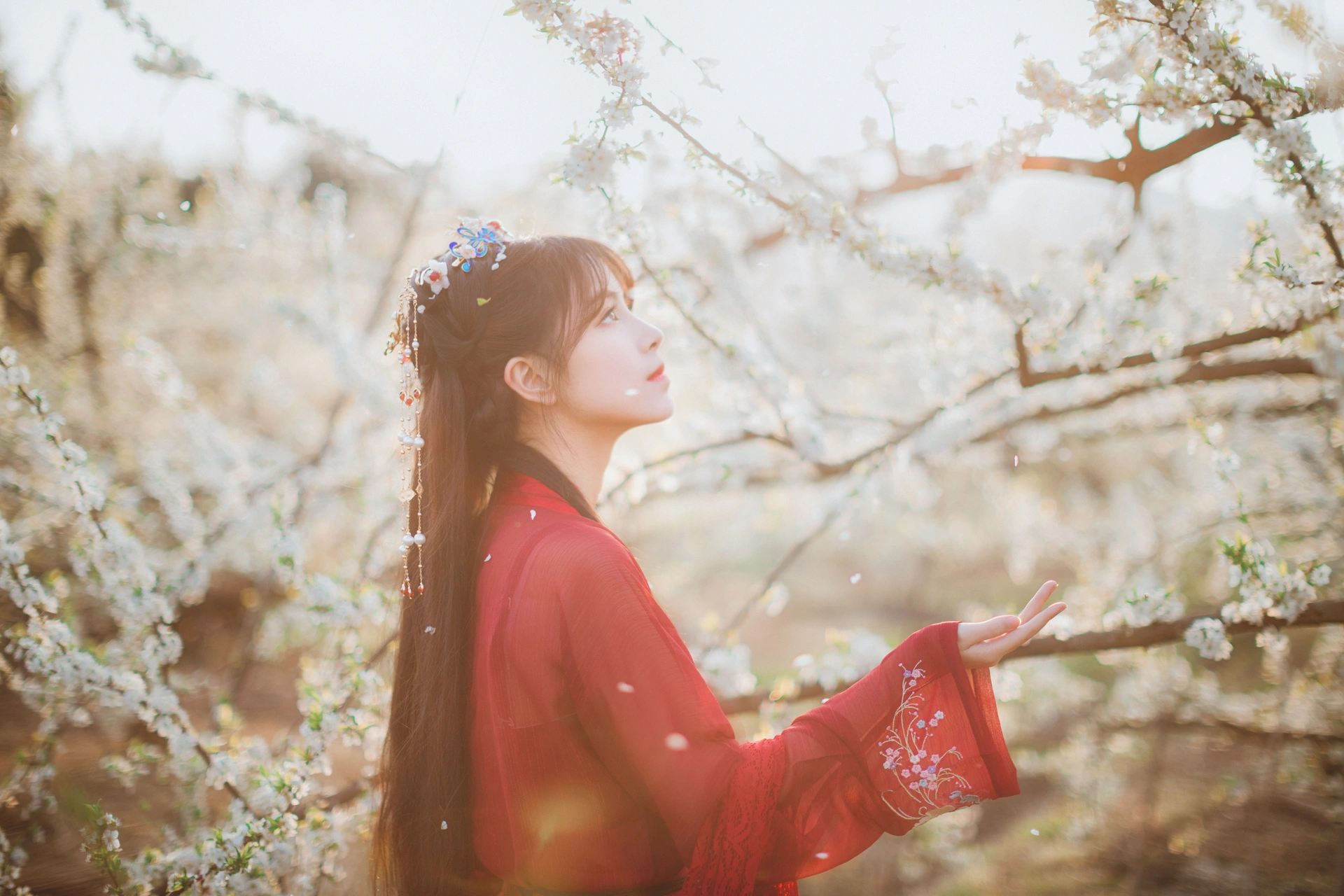 [YITUYU艺图语]2023.11.02 知花事 公子不坏 3